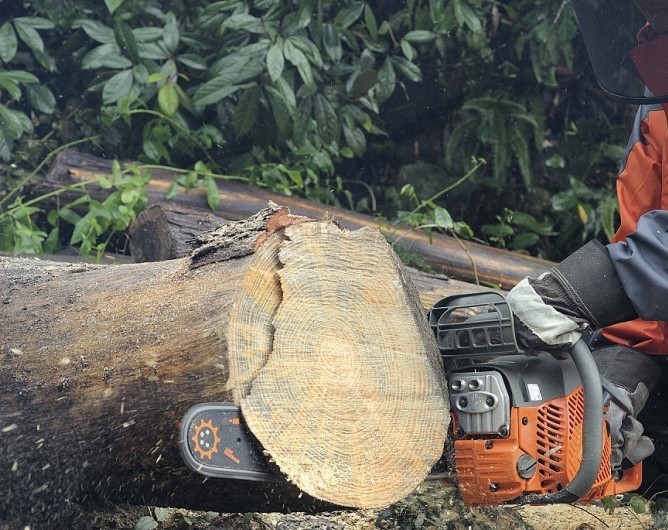 批發(fā)供應(yīng)諾合紅寶石20寸汽油鏈鋸