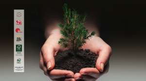 環(huán)保板材綠色品質(zhì)，看看盧森是怎么做的