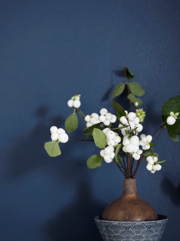 家裝墻面乳膠漆：芬琳內墻乳膠漆