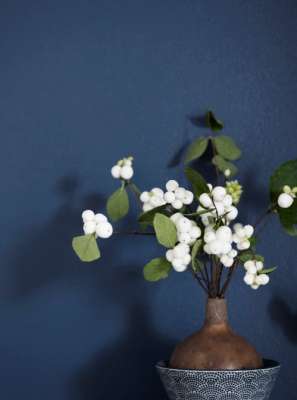 一起來說說選擇芬琳墻漆的優(yōu)勢在哪