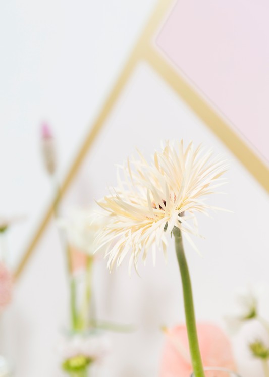 芬琳絲柔漆怎樣？揭開芬琳絲柔漆的真面目