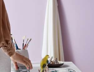 芬琳漆怎么選系列，哪個(gè)好一些