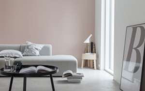 誰(shuí)知道芬琳漆有國(guó)產(chǎn)嗎