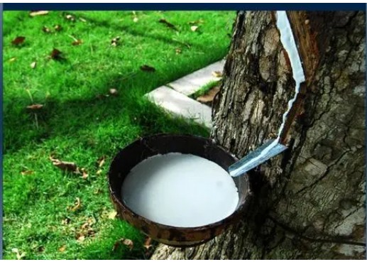 用睡8還你好睡眠